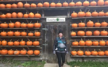 10% OFF Saunder Farm